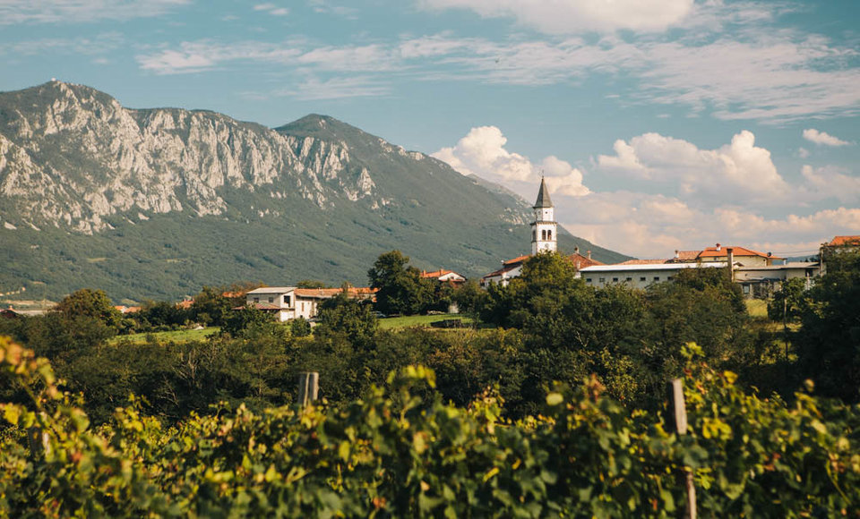 Slovenia wine road