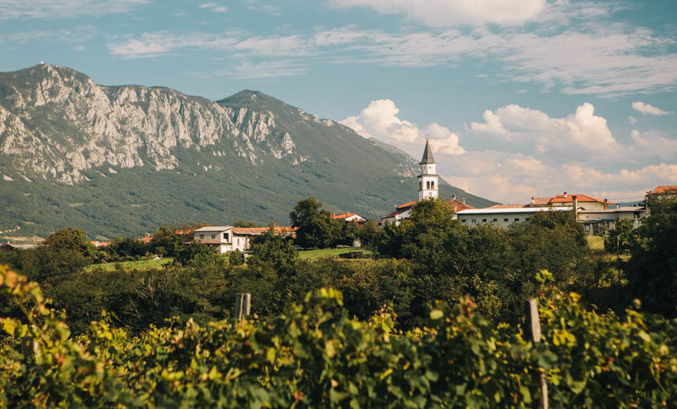 Vinska cesta Slovenija